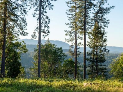 15793 Black Prince Rd, Pioneer, CA 95666 Photo