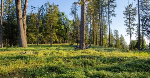 15793 Black Prince Rd, Pioneer, CA 95666 Photo