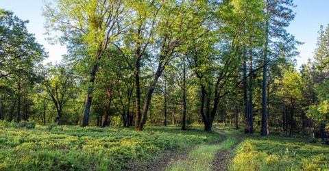 15793 Black Prince Rd, Pioneer, CA 95666 Photo