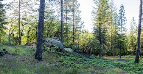 15793 Black Prince Rd, Pioneer, CA 95666 Photo