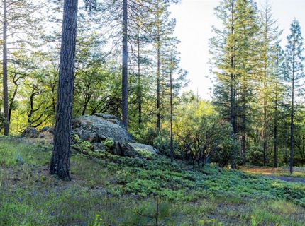 15793 Black Prince Rd, Pioneer, CA 95666 Photo