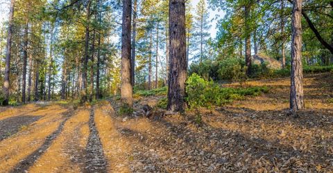 15793 Black Prince Rd, Pioneer, CA 95666 Photo