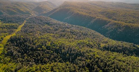 15793 Black Prince Rd, Pioneer, CA 95666 Photo