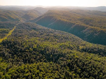 15793 Black Prince Rd, Pioneer, CA 95666 Photo