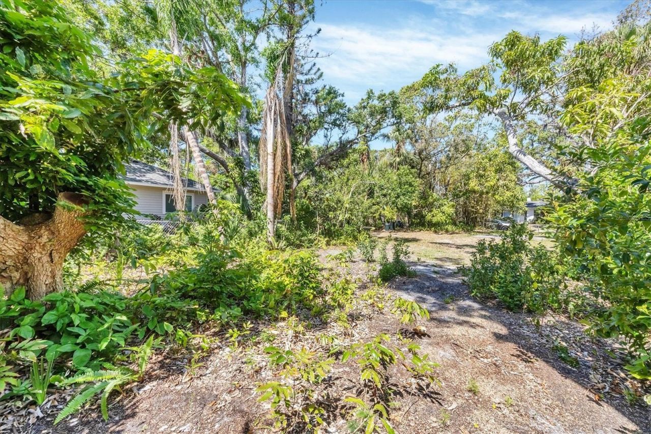 2315 Mcclellan Parkway, Sarasota, FL 34239 Photo