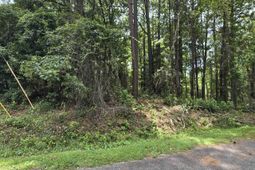 1051 Irene Ct. photo 4