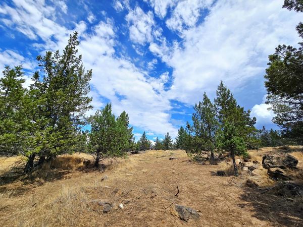 Canvasback Drive, Unit 28, Bonanza, OR 97623