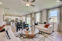 338 Chapin Place Way photo 4