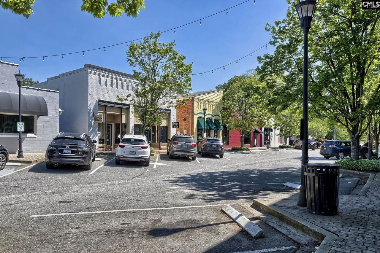 338 Chapin Place Way Photo 33