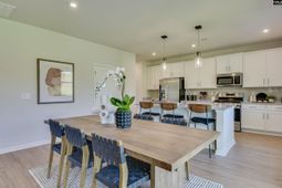 338 Chapin Place Way photo 4