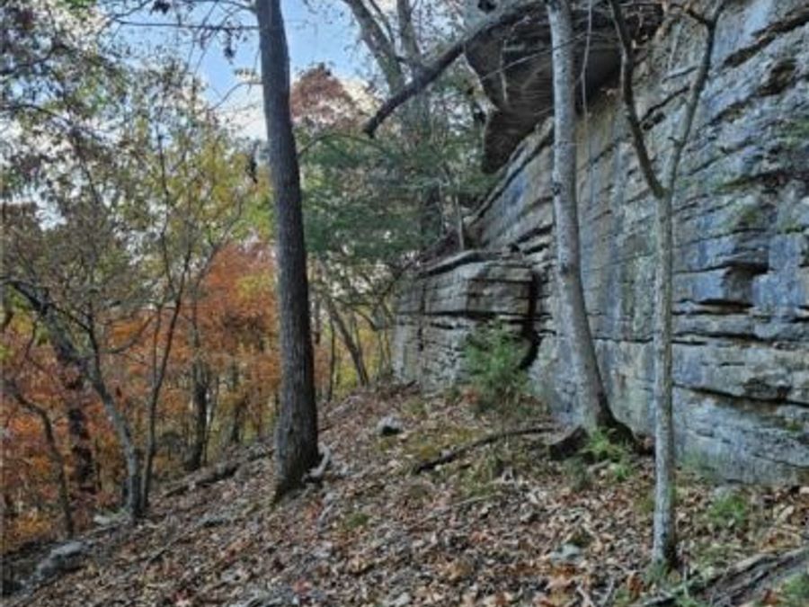 Property Image 39