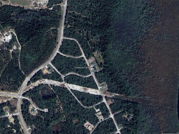TBD SEQUOIA LOOP LANE, OCKLAWAHA, FL 32179