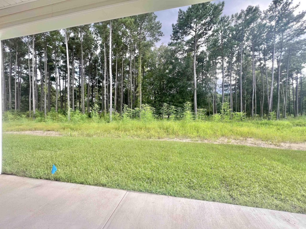 5288 Old Forest Dr. Photo 23