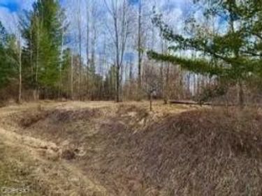 187 Greensboro Way, Butman Twp, MI 48624