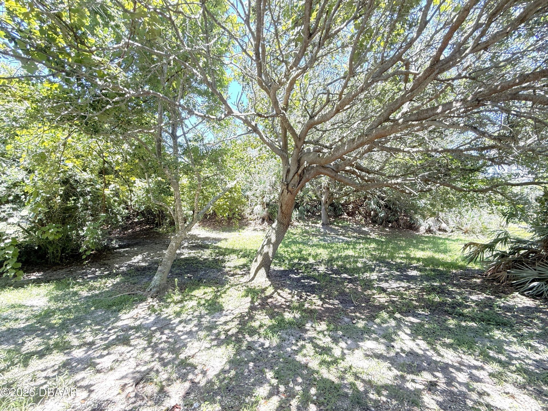 4405 Sea Mist Drive, Unit 114, New Smyrna Beach, FL 32169 Photo