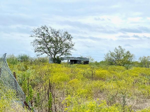 11604 Moore RD, Austin, TX 78719