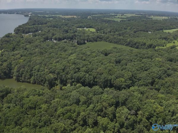49.59 +/- Acres Snake Road, Athens, AL 35611
