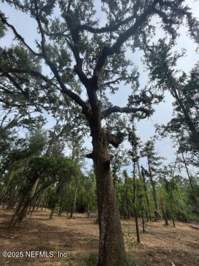 Nw Us 41 Highway, Jasper, FL 32050 Photo