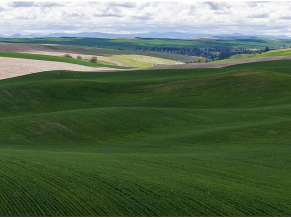 TBD Dr, Rosalia, WA 99170