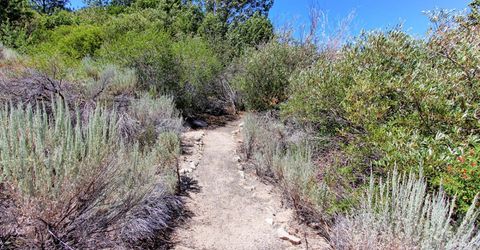 1272 Kingsbury Grade Road, Gardnerville, NV 89460 Photo