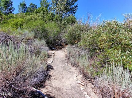 1272 Kingsbury Grade Road, Gardnerville, NV 89460 Photo