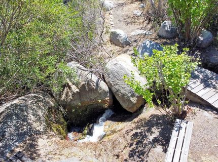 1272 Kingsbury Grade Road, Gardnerville, NV 89460 Photo