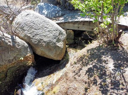 1272 Kingsbury Grade Road, Gardnerville, NV 89460 Photo