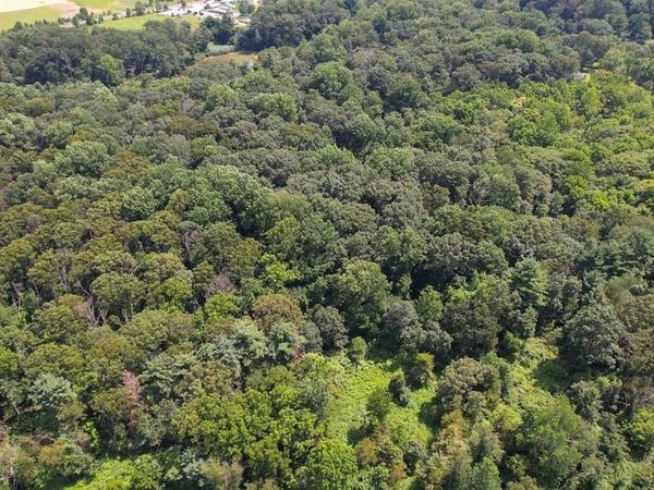 0 BIRCH LANE, PILESGROVE, NJ 08098