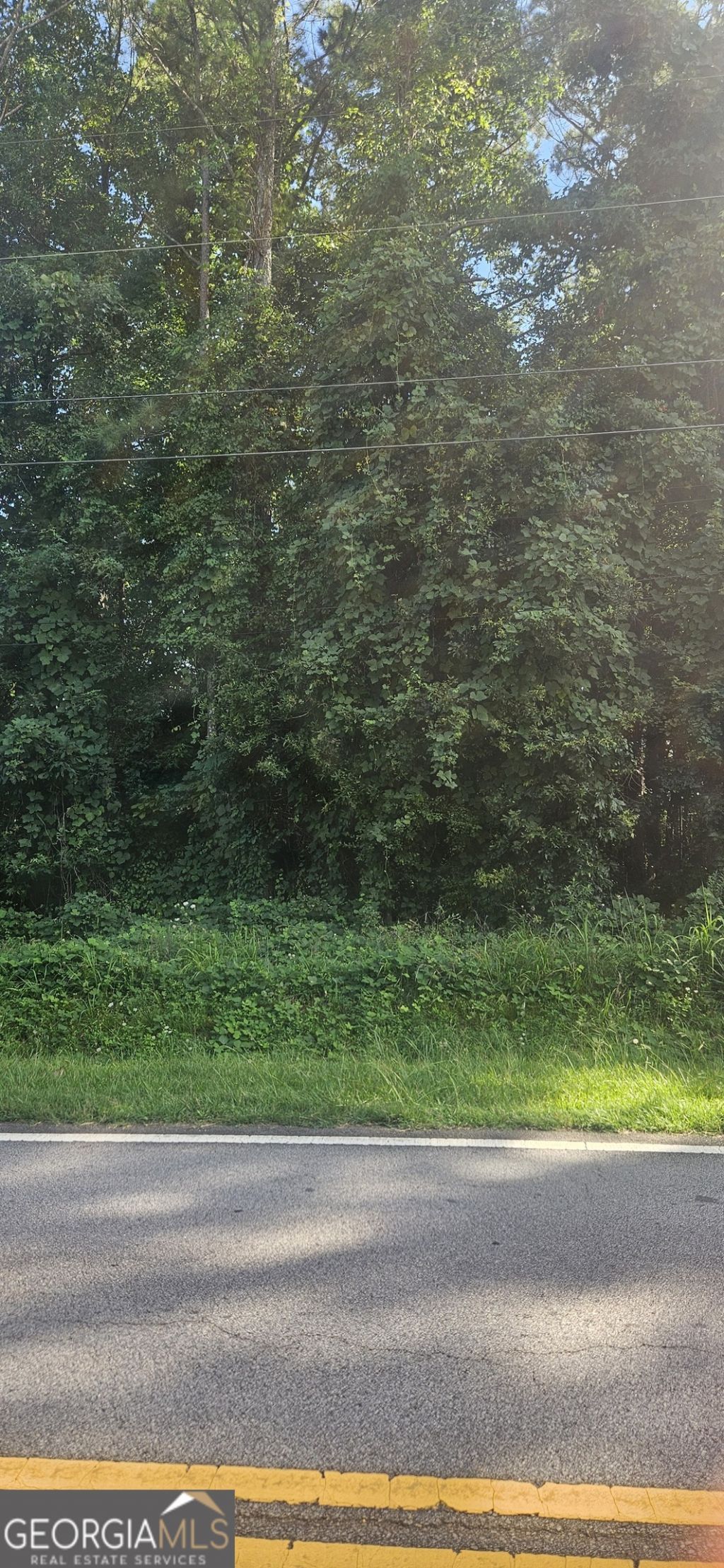 0 Conners Road, Villa Rica, GA 30180 Main Photo