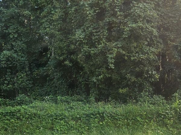 0 Conners Road, Villa Rica, GA 30180