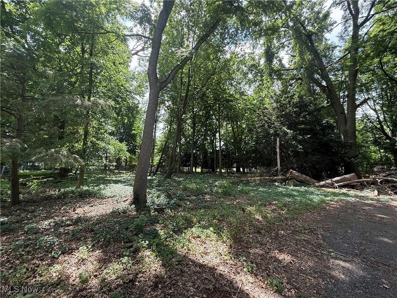 11928 Lake Shore Boulevard, Bratenahl, OH 44108 Photo 1