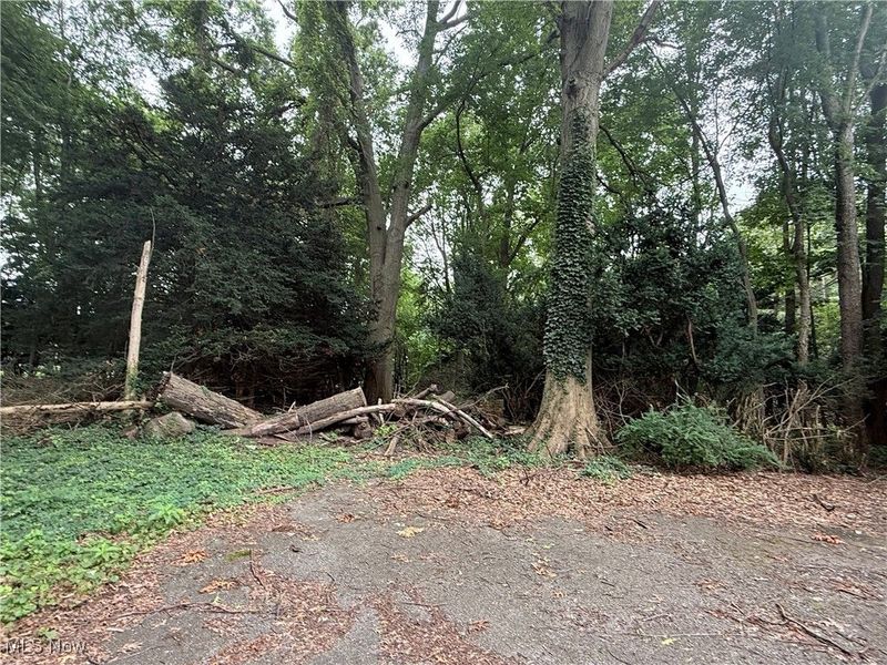 11928 Lake Shore Boulevard, Bratenahl, OH 44108 Photo 2