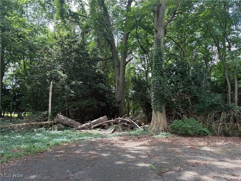 11928 Lake Shore Boulevard, Bratenahl, OH 44108 Photo 4