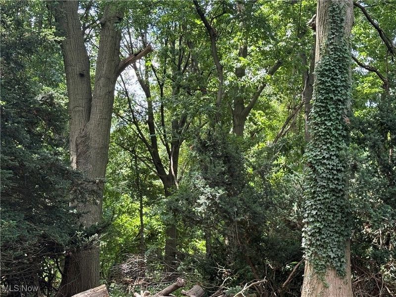 11928 Lake Shore Boulevard, Bratenahl, OH 44108 Photo 6