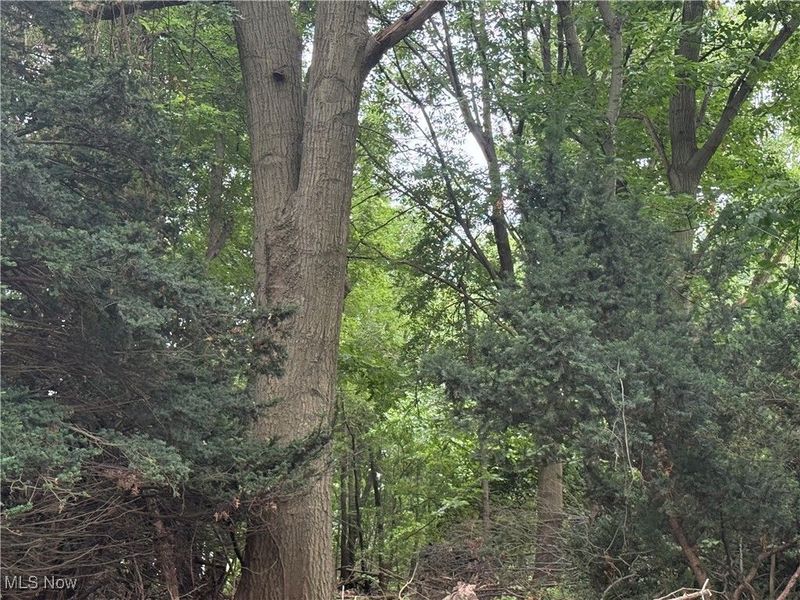 11928 Lake Shore Boulevard, Bratenahl, OH 44108 Photo 8