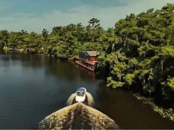 16704 MEISNER Road, Springfield, LA 70462