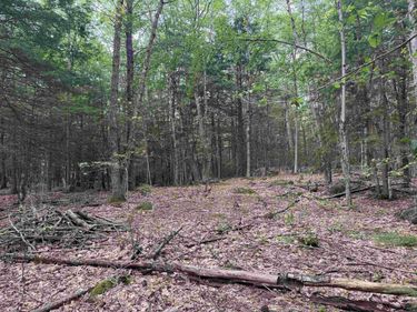 Lot R11-11-1 Forest Road, Hancock, NH 03449