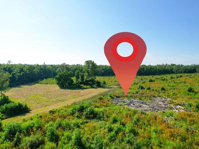 0 Featherbed Road, Walterboro, SC 29488