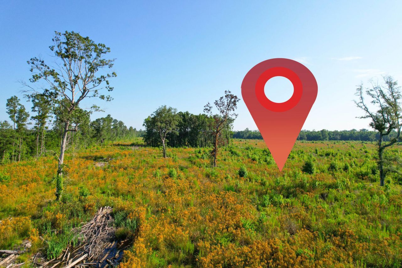 0 Featherbed Road Photo 10