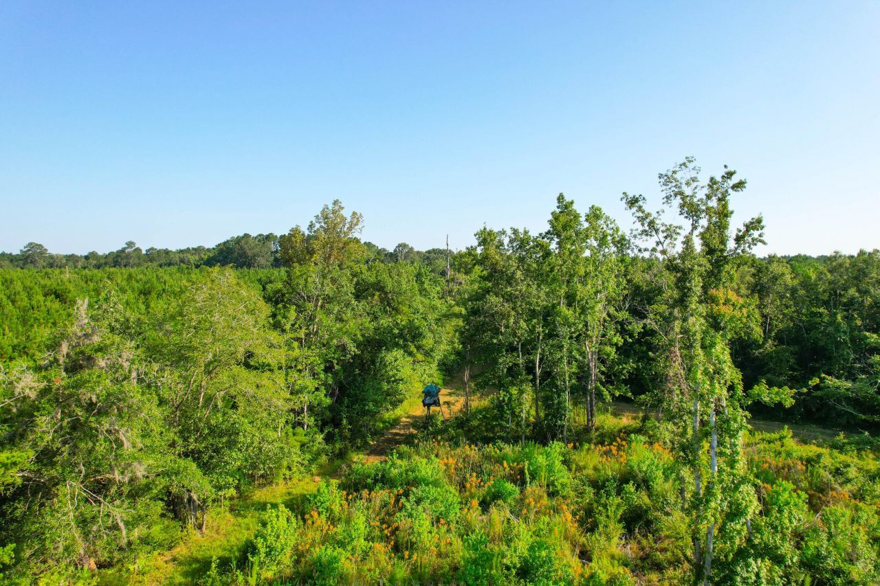 0 Featherbed Road Photo 11