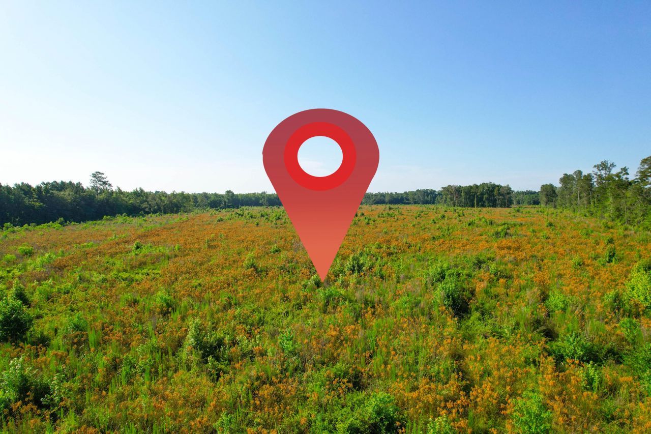 0 Featherbed Road Photo 13