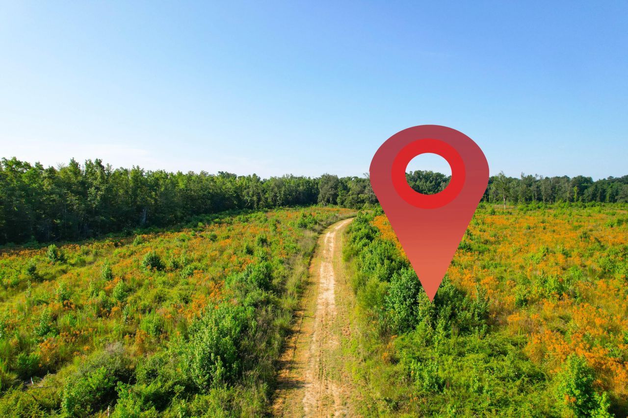 0 Featherbed Road Photo 16