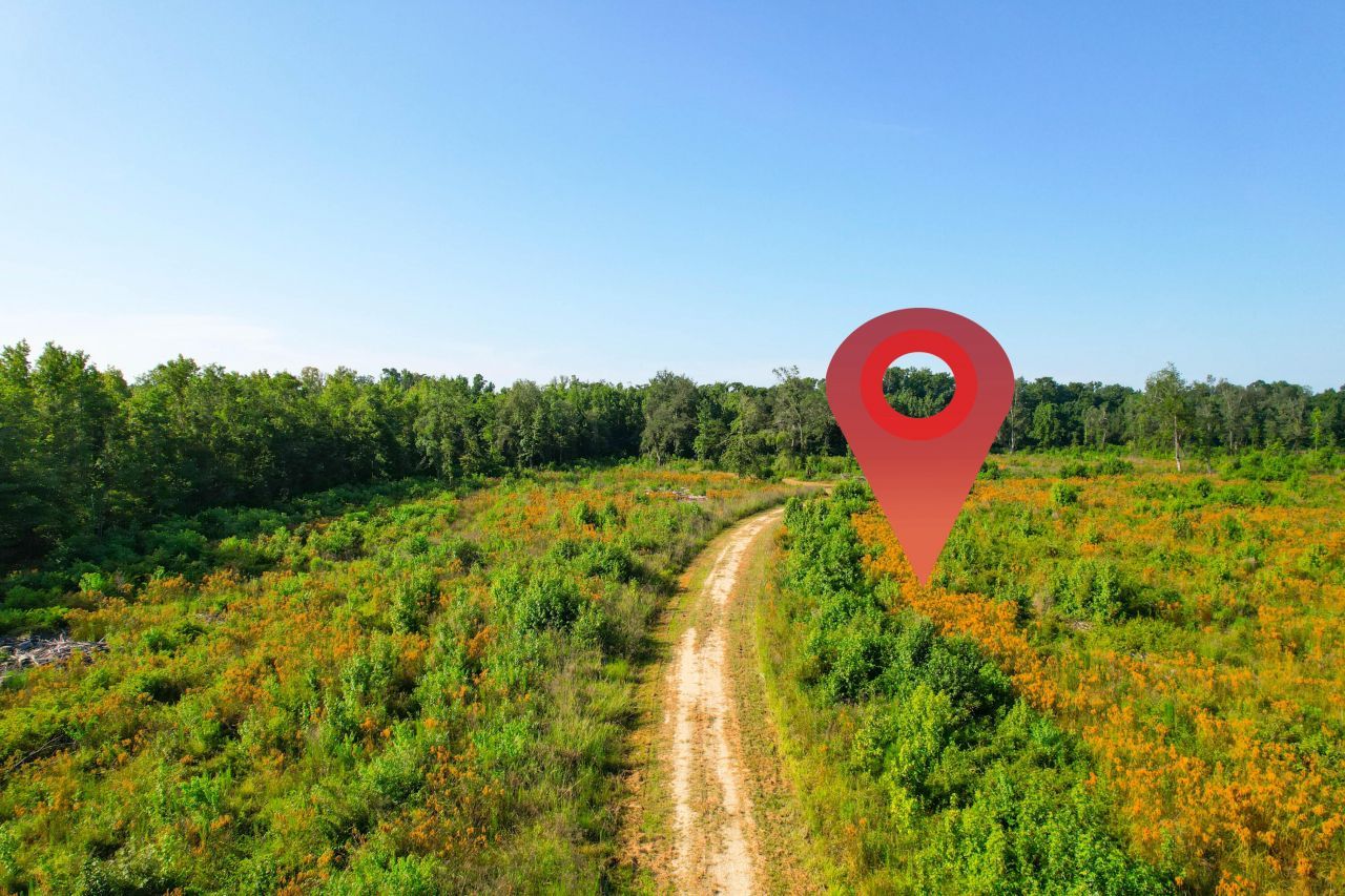 0 Featherbed Road Photo 17