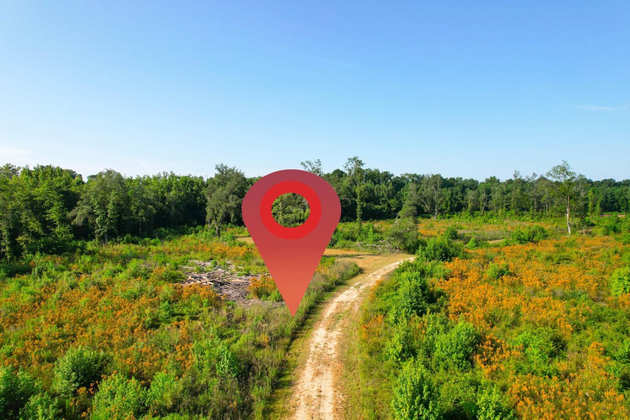 0 Featherbed Road Photo 18