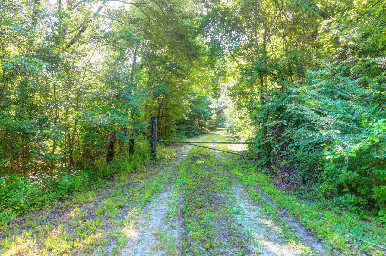 0 Featherbed Road Photo 25