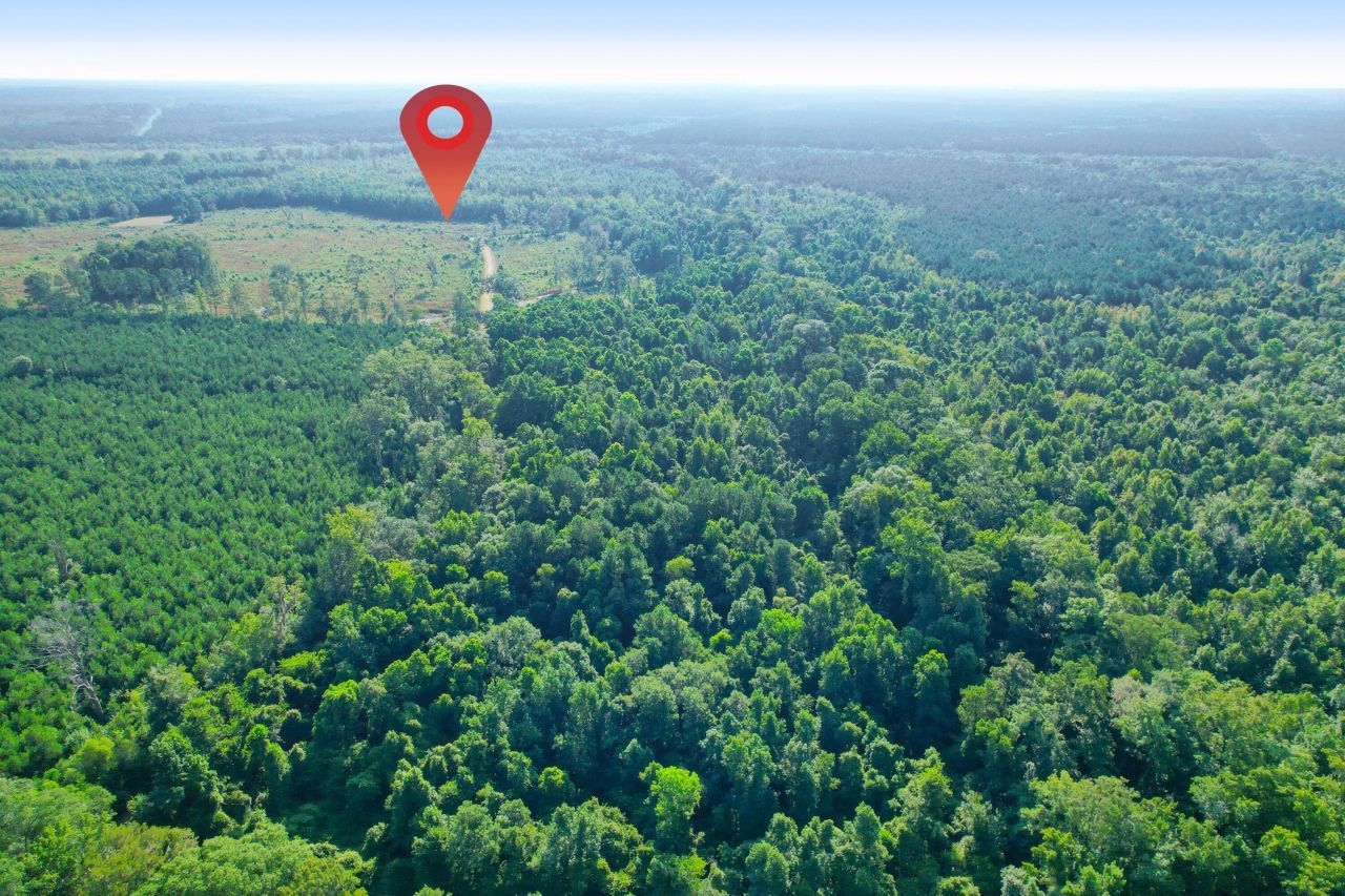 0 Featherbed Road Photo 26