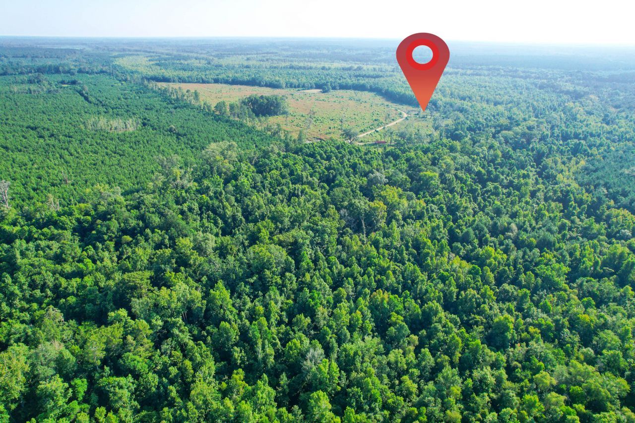 0 Featherbed Road Photo 27