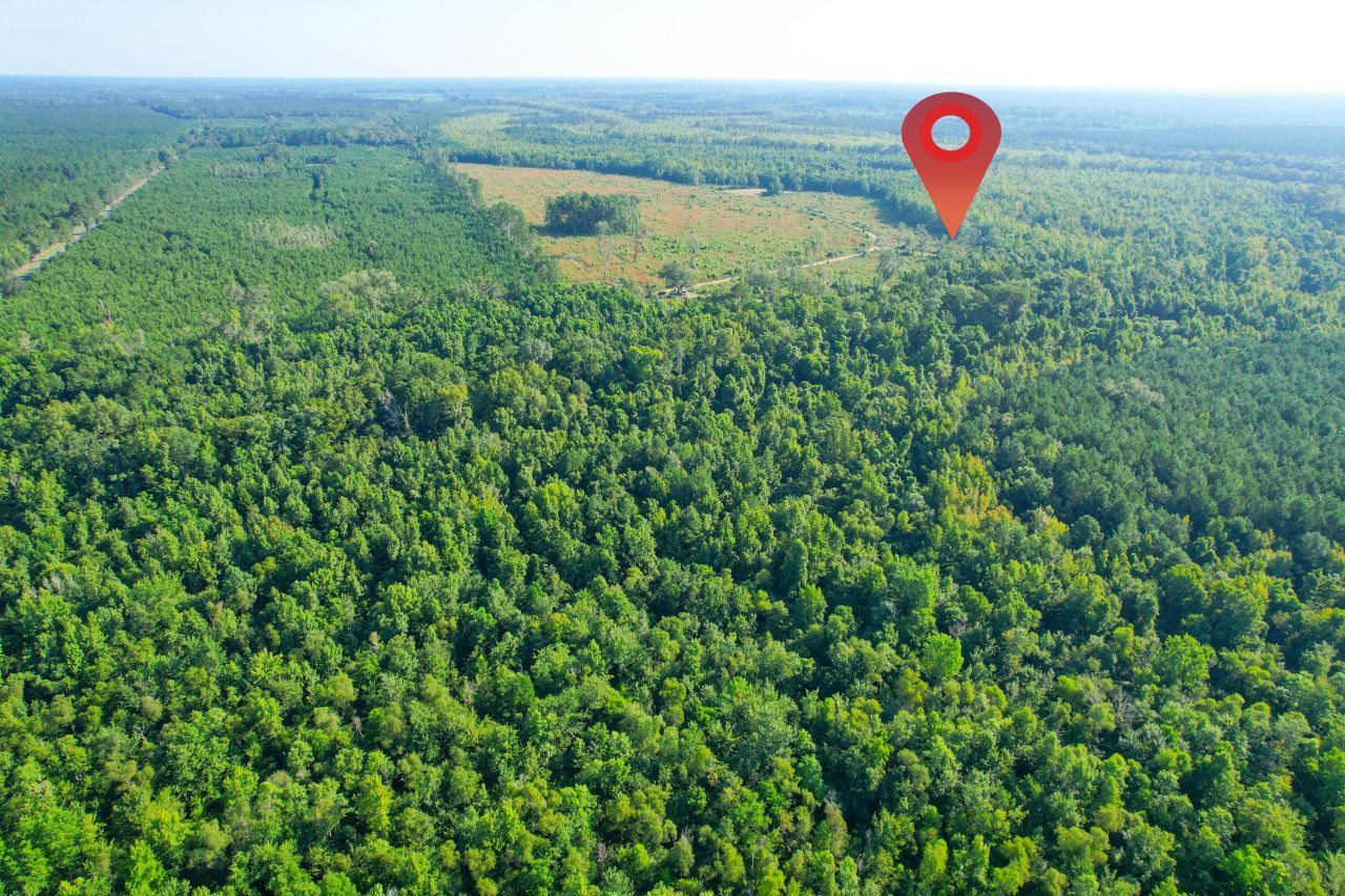 0 Featherbed Road Photo 28