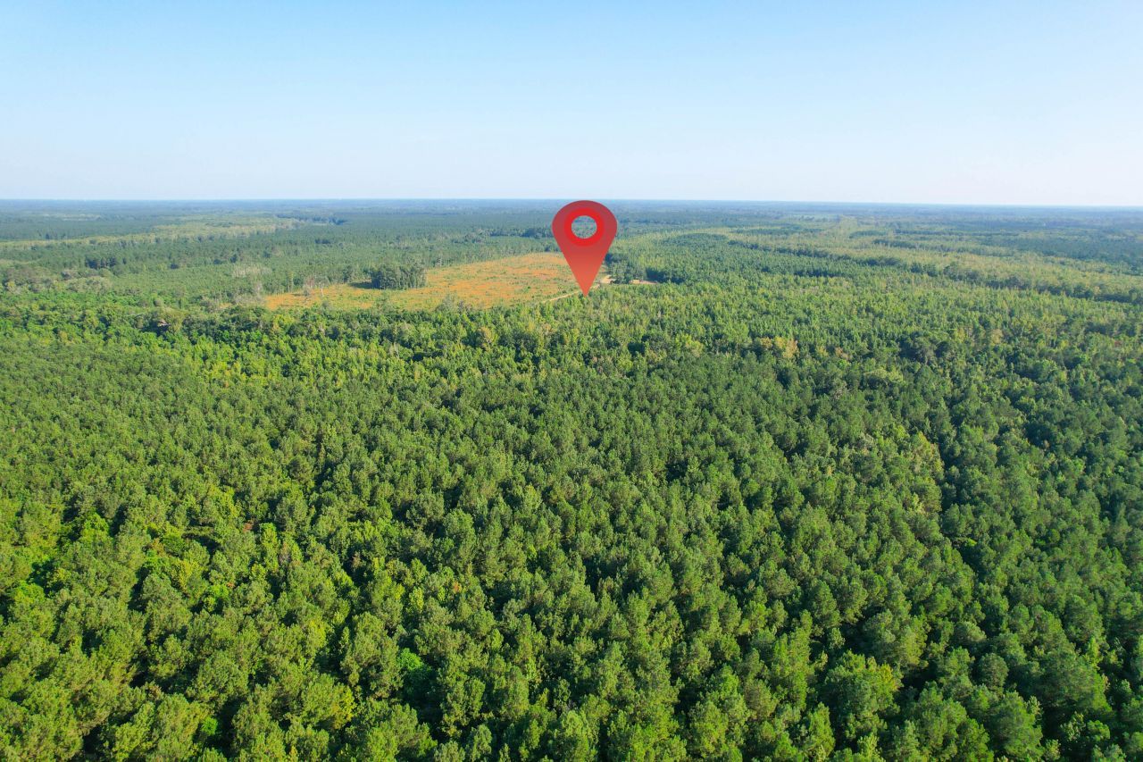 0 Featherbed Road Photo 31