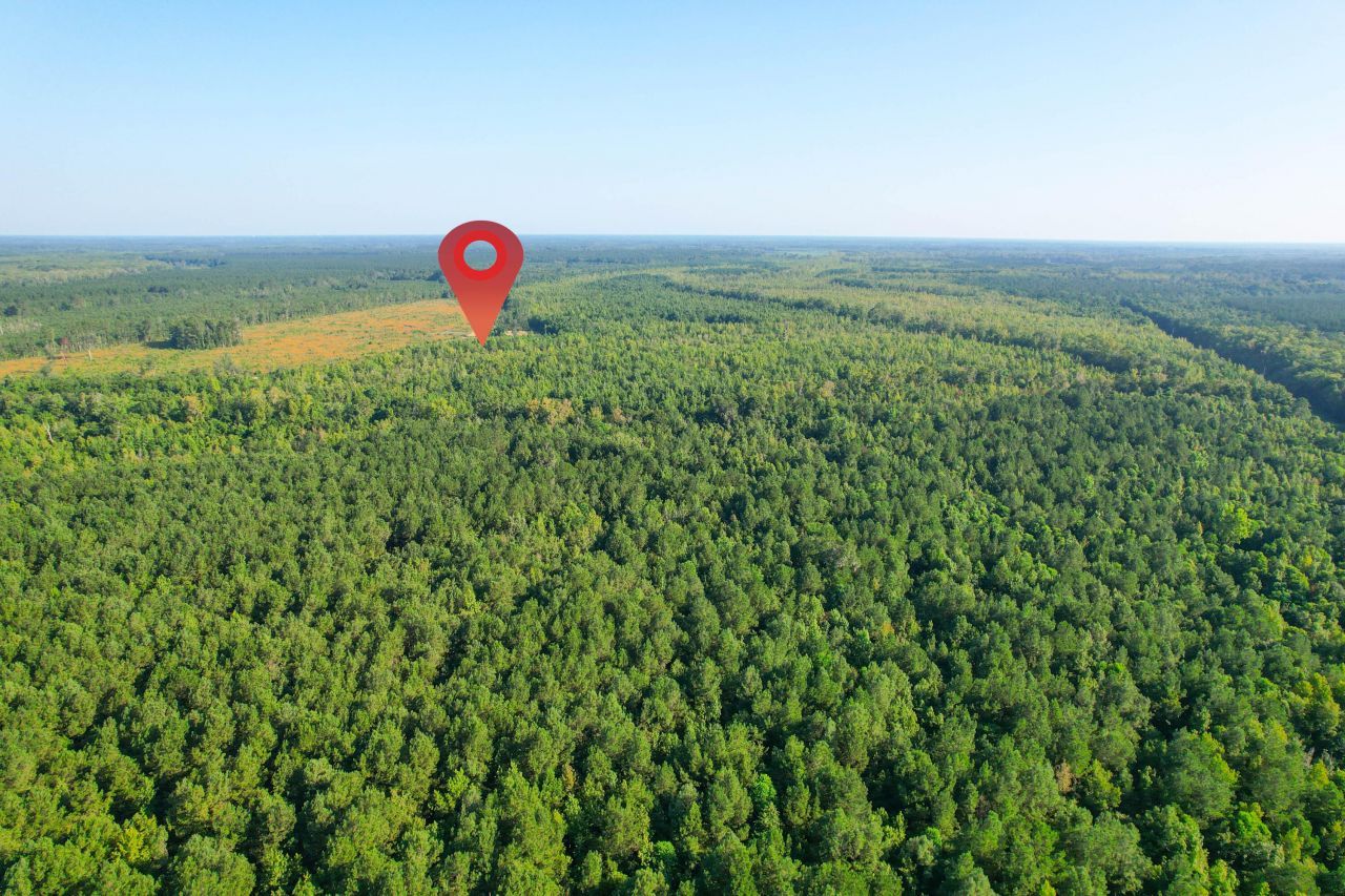 0 Featherbed Road Photo 32